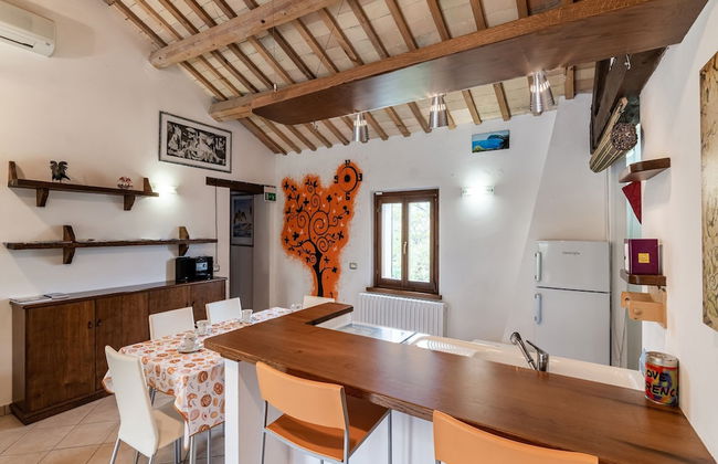 Holiday House in Filottrano on the Beach by the sea - Photo 23