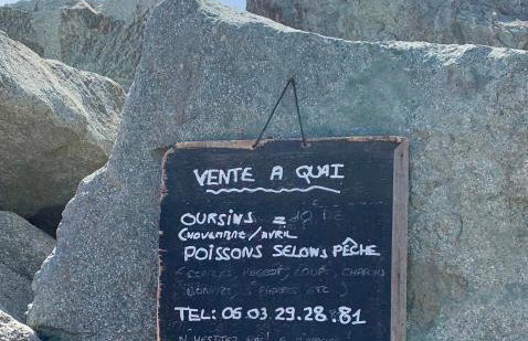 le petit sémaphore - Foto 24