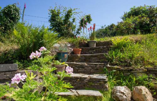 Bayvil Newport, Pembrokeshire - Foto 33