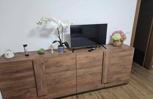 Khalli apartman 4 stars with private pool and jacuzzi near Opatija - Photo 70