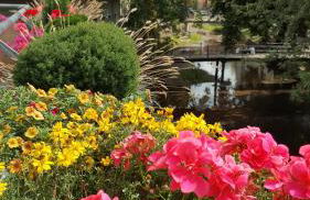 Altstadtapartment an der Krämerbrücke - Foto 19