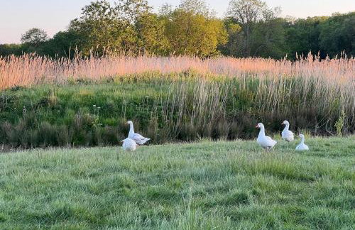 Barn Cottage - Foto 22