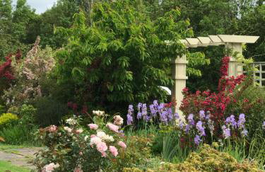 Octon Cottages Luxury 1 and 2 Bedroom cottages 1 mile from Taunton centre - Foto 65