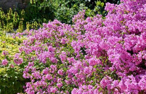 Beach & Nature Villa with Amazing Pool by TimeCooler - Foto 30