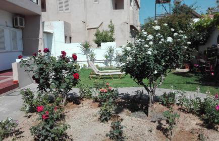 Yannis Apartments - Photo 48