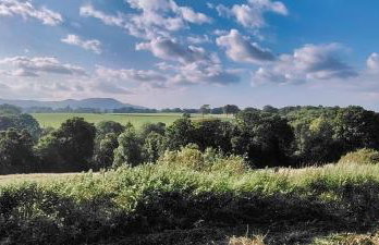 Orchard Cottages at Gorton House - Foto 43