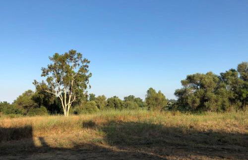 U Primu Appartement spacieux au calme Aléria - Foto 7