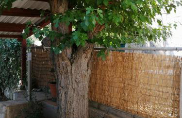 Apartments Elena & Damir - Foto 10