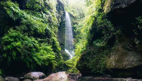 Apartamento El Topo - Foto 5