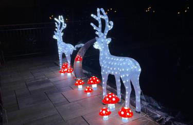 Apartamenty Liliowe SPA & Wellness - Foto 66