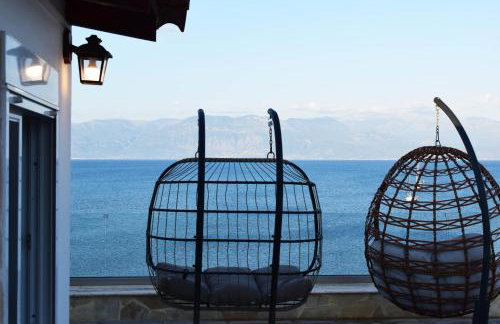 Elysian Blue - Foto 16