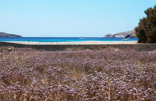 Serifos Beachfront Villa Ganema - Foto 36