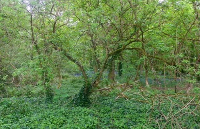 Rebels Retreat - 2-bed Chalet nr St Ives & Hayle - Foto 20