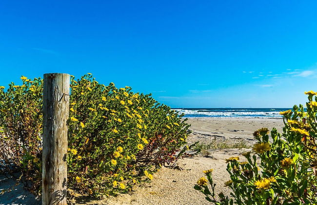 Great Location Go Beyond the Blue - Foto 26