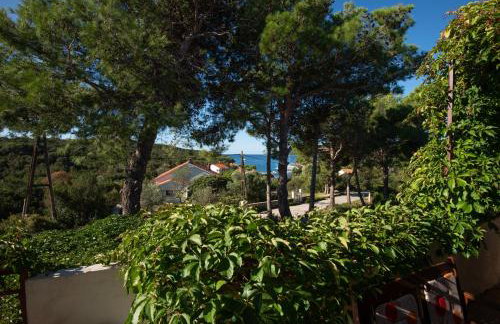 Apartments with parking space Molat - 6249 - Photo 20