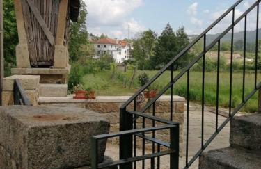 Quinta do Arieiro - Foto 31