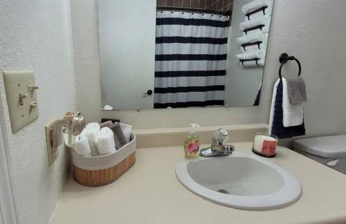 Sunnie Days condo in Oak Harbor on Lake Erie! - Foto 21