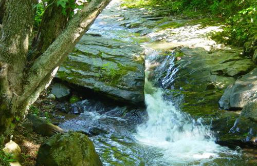 Roaring Creek - Photo 20