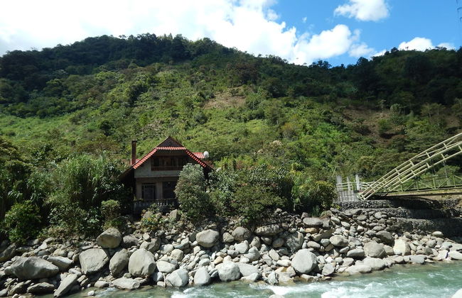 Dogs and Fish Dream Land - Foto 34