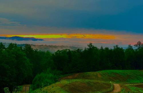 Luxury Farm Stay-Bonds Corner Bungalow-Wolf Pine Hollow - Foto 36