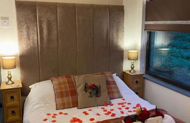 Arc Pod-HotTub- Dog Friendly - Longleat - Bath - Photo 24