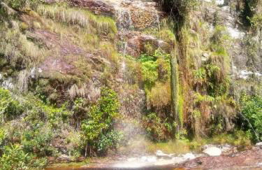 Casa da Serra dos Alves - Photo 38