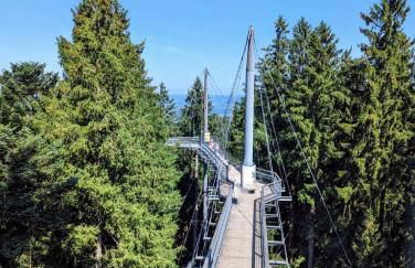 Ferienwohnung BergOase mit Pool & Sauna - Foto 55