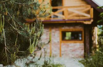 Domki na Górniej Łące - Domek Górny - Foto 38