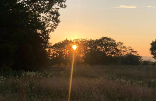 Tanybryn (Welsh meaning on the brow of a hill) - Photo 20