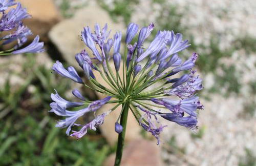 La Rupe del Falco - Foto 31