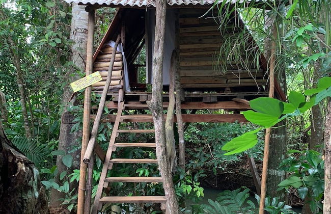 Pousada Pouso das Araras - Foto 6