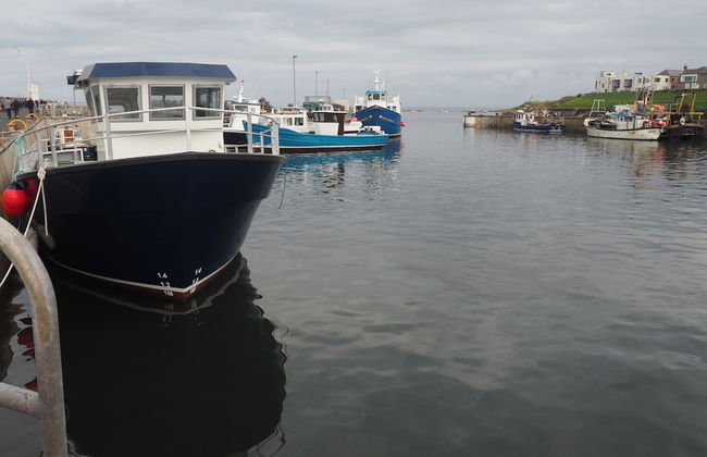 Little Haven - Foto 40