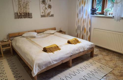 Komfortowy apartament nad Zalewem Sulejowskim - Foto 4