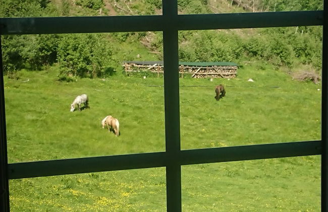 Cozy Cabin Retreat in Scenic Valley, E6 South of Trondheim - Foto 28