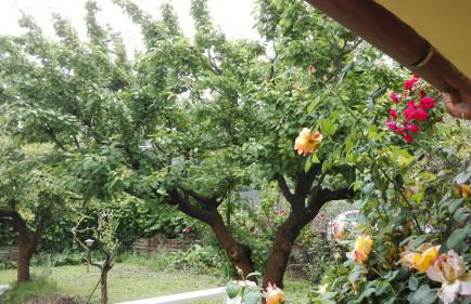 The lake, the sea, the history - Foto 12