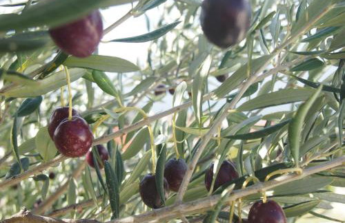 Luxury Villa Mala Podgora with Heated Pool - Foto 52