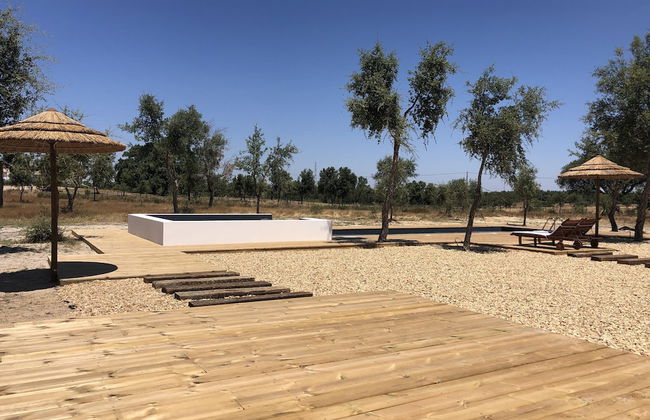 Tons da Terra - Foto 43