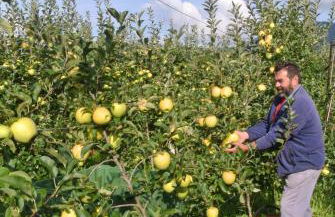 Agriturismo Bortolotti - Foto 34