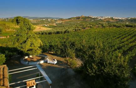 Bodega Boutique Finca Buytrón - Foto 29