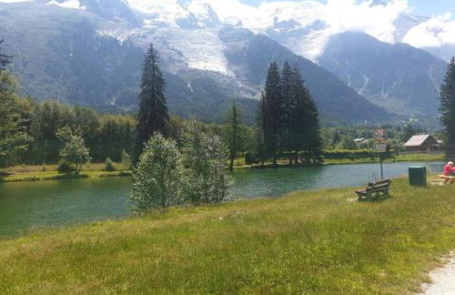 Chamonix Garden Flat with a View of Mont-Blanc - Référence XEPKMM - Foto 37