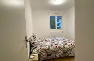 VILLA VUE LAC -3 chambres jardin-proche du lac et du Centre-ville , 2 places parking - Foto 27