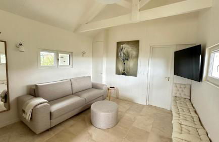 MAISON SUR LA PLAGE avec VUE MER PANORAMIQUE - Foto 37