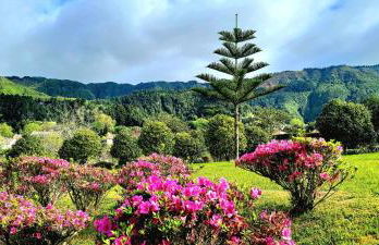 Penthouse Furnas - Photo 20