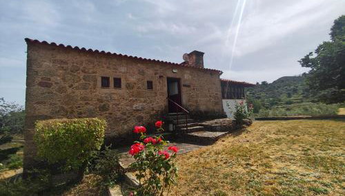 Quinta de Gonçalo - Photo 2, Garden