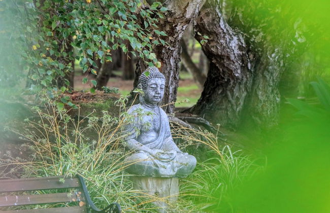 Boat Harbour Garden Cottages - Foto 52