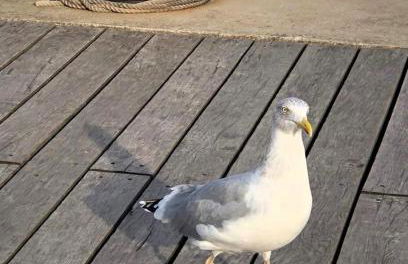 Steffis-Strand-Schule - Foto 36
