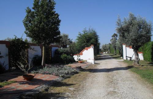 Quinta do Outeiro Alto - Foto 38