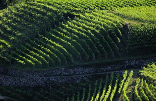 Schwarzplatterhof - Foto 49