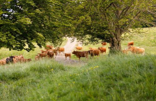 Agriturismo Carovane - Photo 19