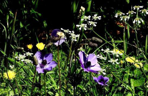 Orne Magical Retreat - Foto 47